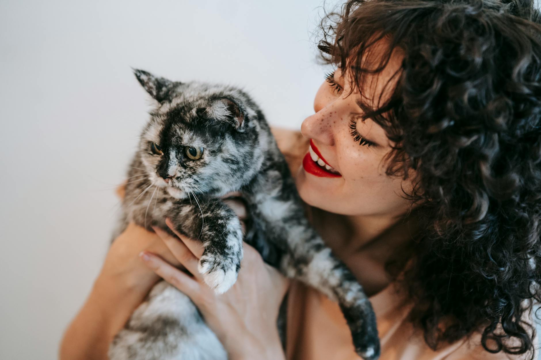 Meet Your Pet’s New Best Friends