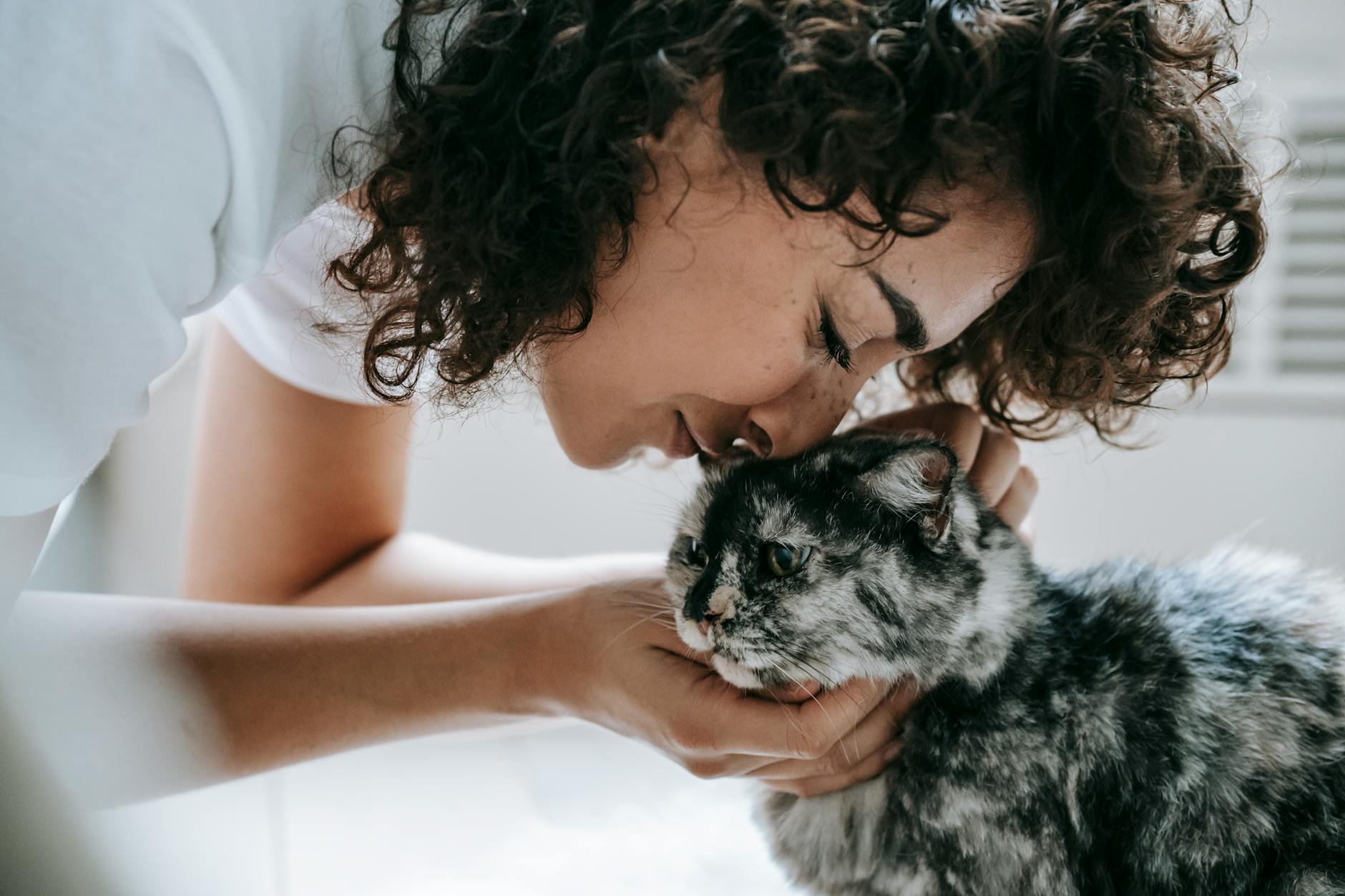 Care For Your Pets You Can Trust